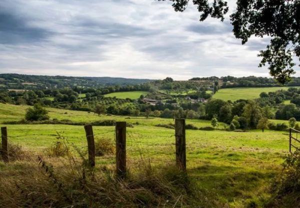 Terrain 01 - Vigneux de bretagne (44)