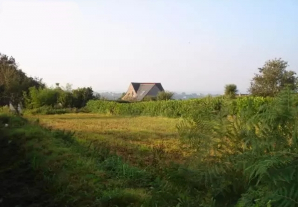 Terrain 06 - Orvault (44)