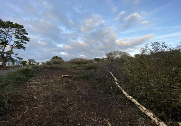 Terrain 04 - Coueron (44)