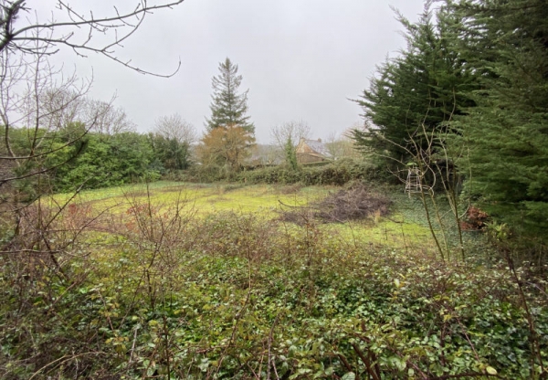 Terrain 07 - Sautron (44)